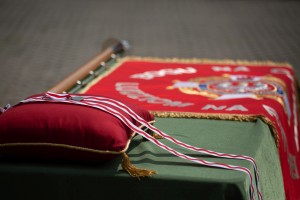 07.05.2022 Parkosz (578).jpg